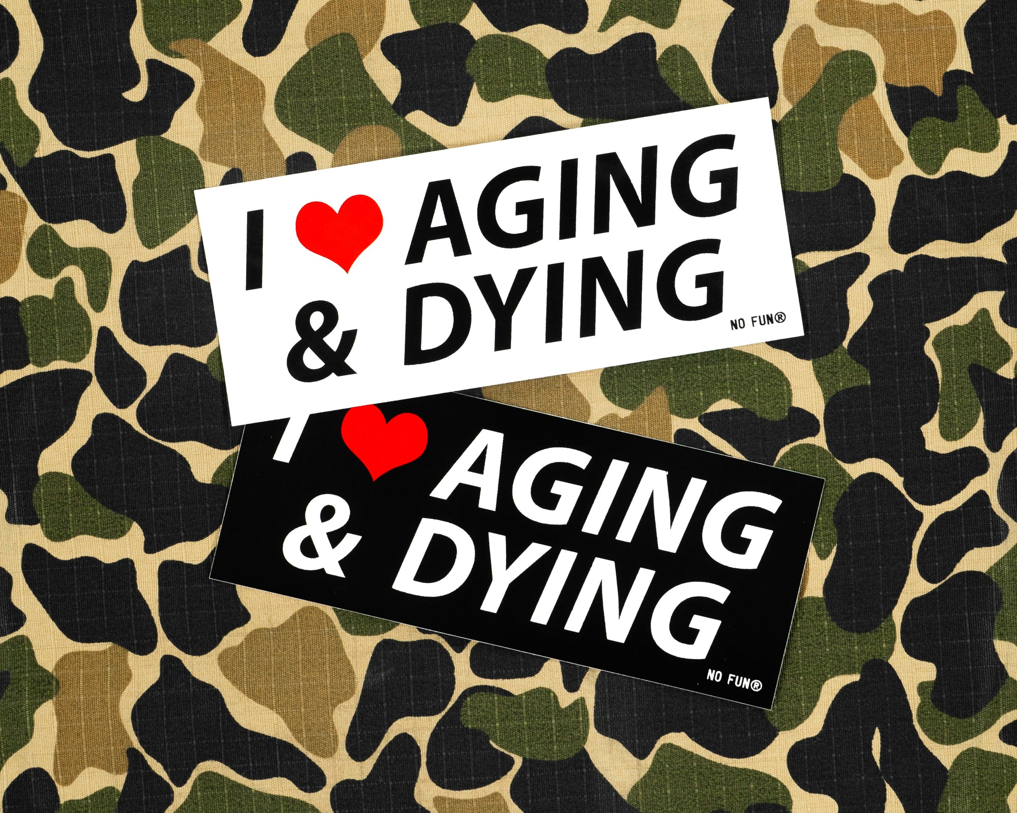 "Aging & Dying" Bumper Sticker