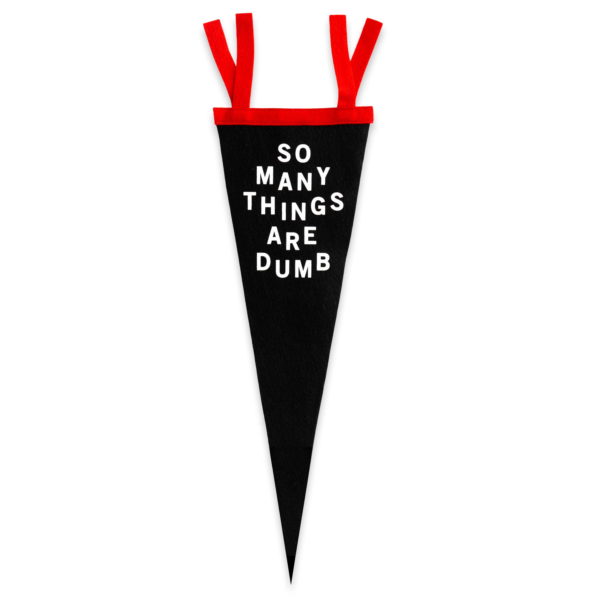 A black pennant with red ties hanging vertically.  The phrase "So Many Things are Dumb" is printed on one side in white.  