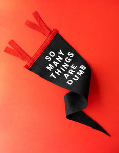 A black pennant with red ties folded on a red background.  The phrase "So Many Things are Dumb" is printed on one side in white.  
