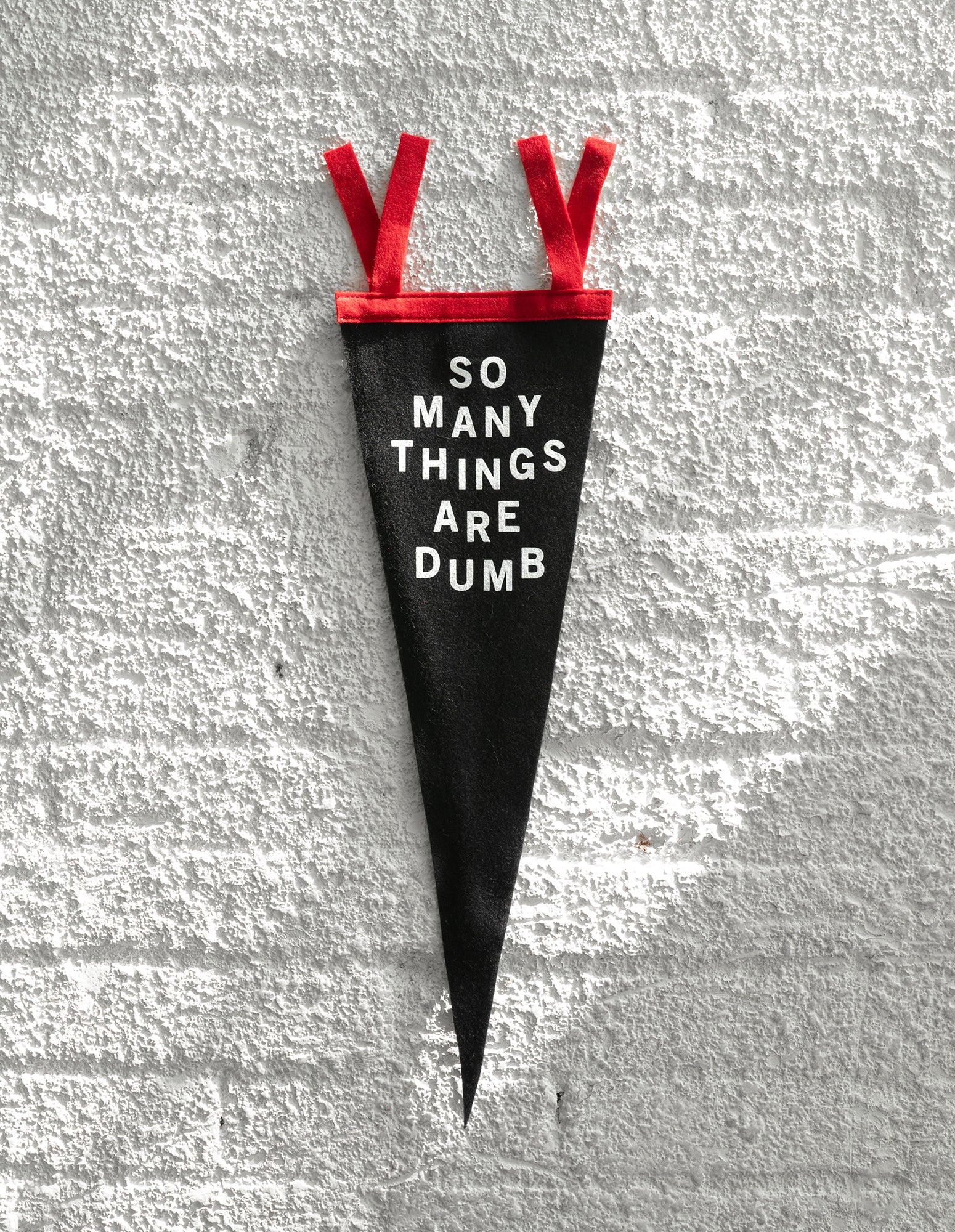 A black pennant with red ties hanging vertically on a concrete wall.  The phrase "So Many Things are Dumb" is printed on one side in white.  