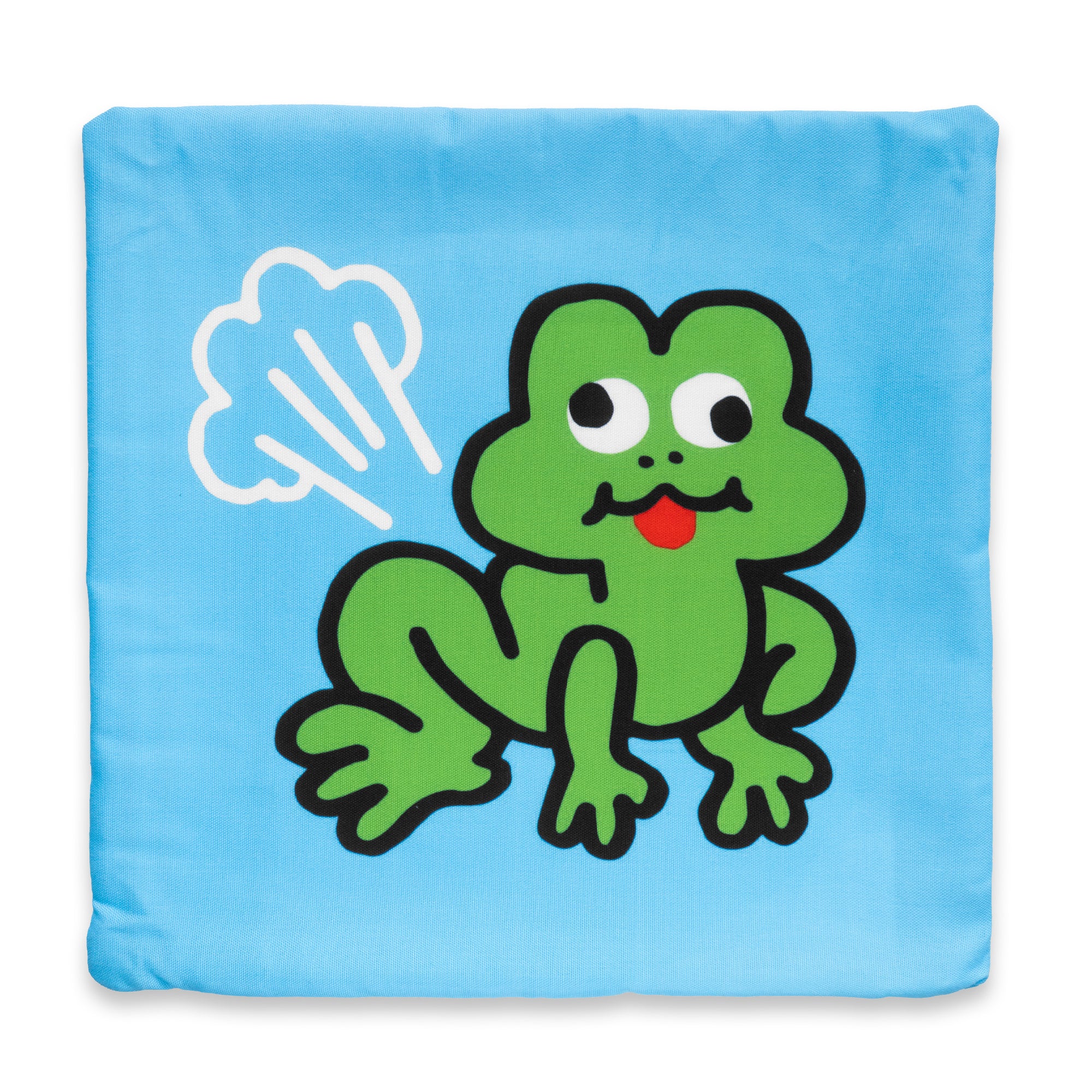 Frog Pillowcase by No Fun®. Pillowcase is blue, with a green cartoon frog. The frog has a fart cloud coming out of its butt. The frogs has a silly expression on its face and its tongue is out.