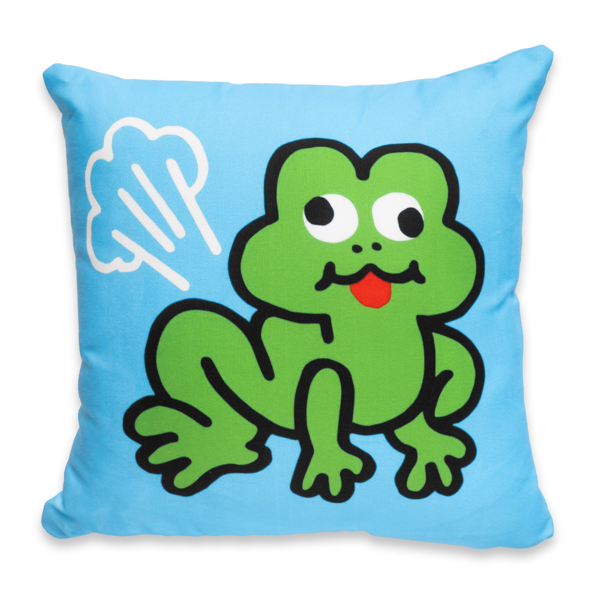 Frog Pillow by No Fun®.  Pillow is blue, with a green cartoon frog.  The frog has a fart cloud coming out of its butt.  The frogs has a silly expression on its face and its tongue is out.